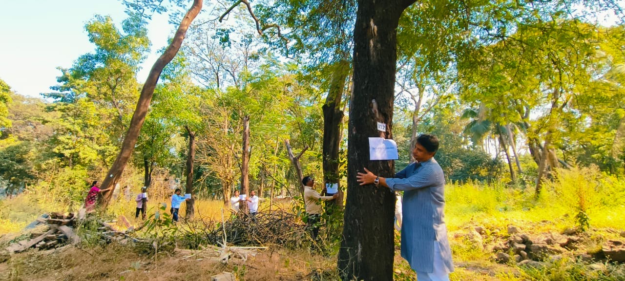 हरकती येण्यापूर्वीच प्रादेशिक मनोरूग्णालयातील शेकडो झाडांची कत्तल, राष्ट्रवादीच्या कार्यकर्त्यांनी केली वृक्षपाहणी.