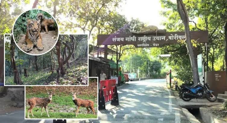 येऊरमधील सर्व अनिवासी, व्यावसायिक बांधकामाचे सर्वेक्षण करण्याचे महापालिका आयुक्त सौरभ राव यांचे निर्देश.