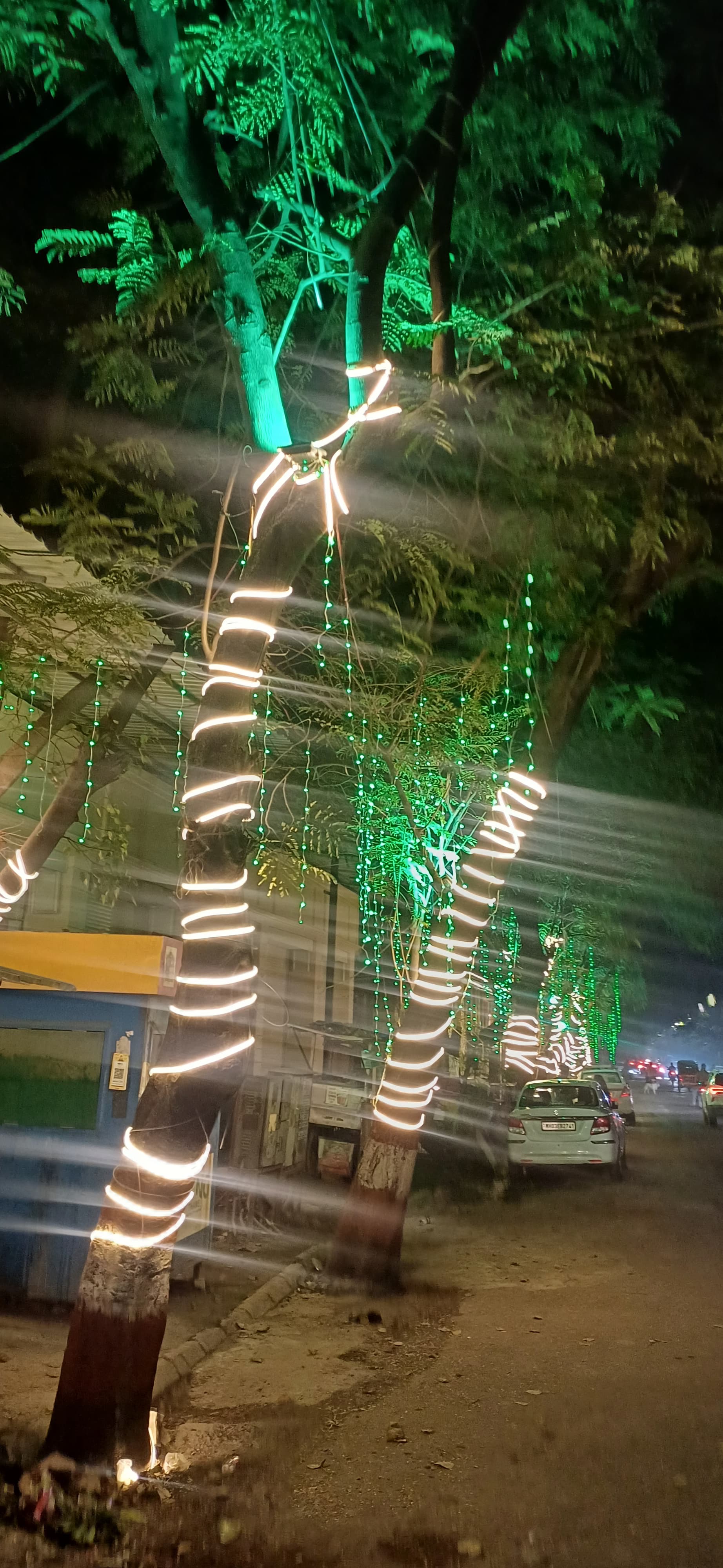 झाडांच्या श्वासावर दिव्यांचा झगमगाट नको…!